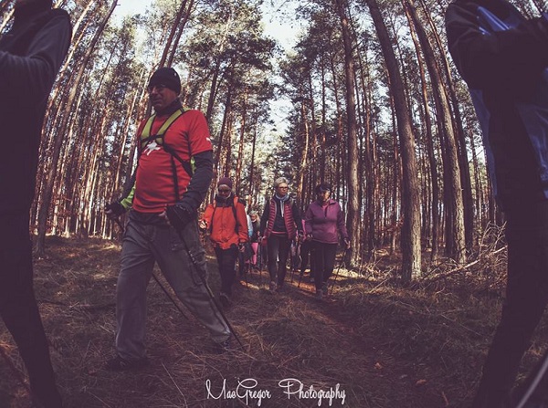 osoby idące drogą leśną z kijami nordic walking