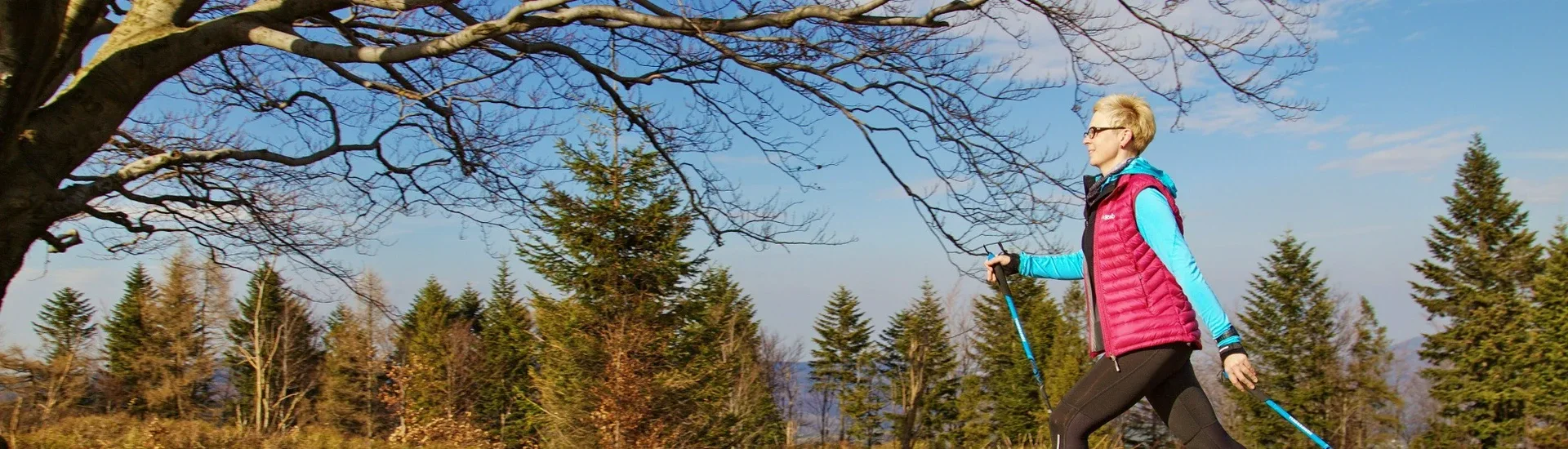 Nordic walking